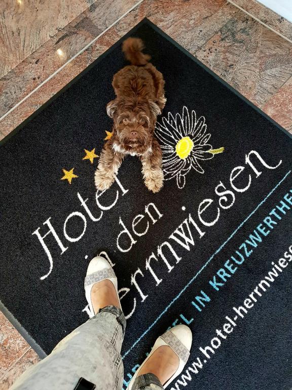 Hotel In Den Herrnwiesen Wertheim Εξωτερικό φωτογραφία